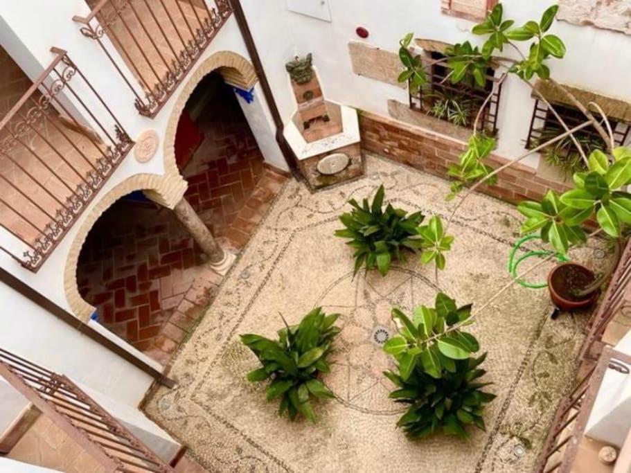 Buhardilla De Wallada Apartment